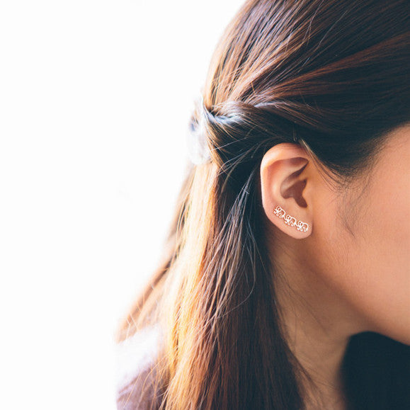 Daisies Stud Earrings For Women | Premium Jewelry